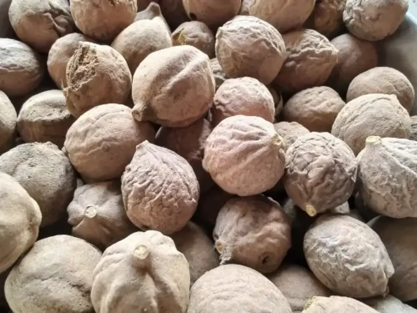 Baheda