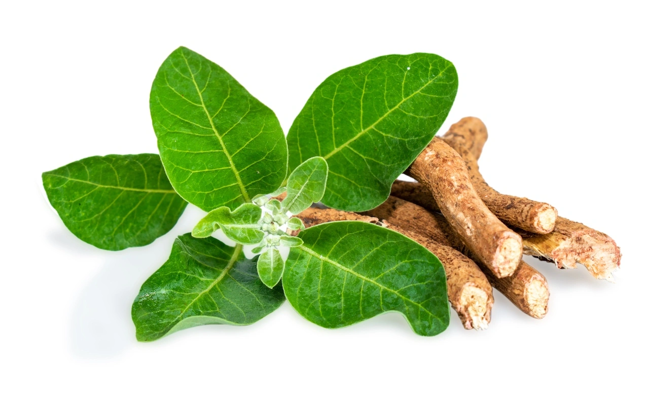 Ashwagandha
