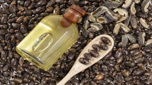 Taj Oil