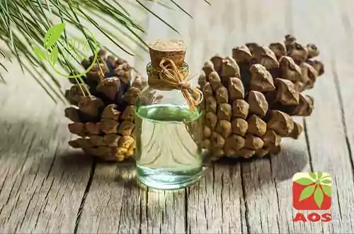 Tarpin Oil